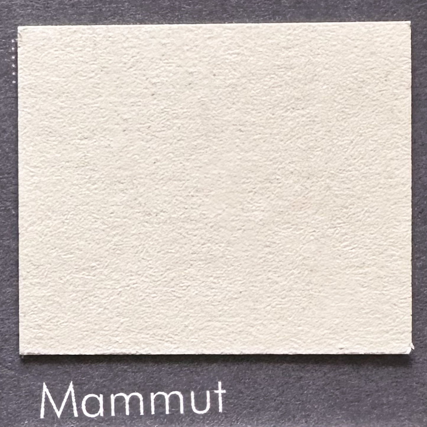 Mammut – Zeitloses Elfenbein