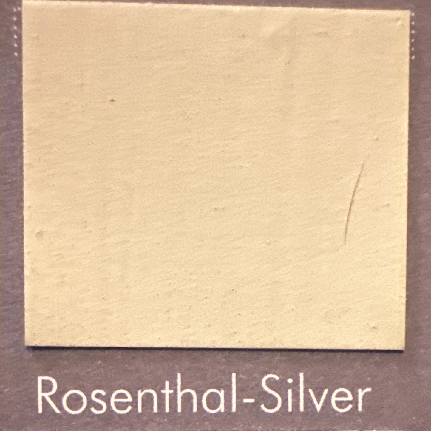 Rosenthal Silver – Zeitloser Porzellanton