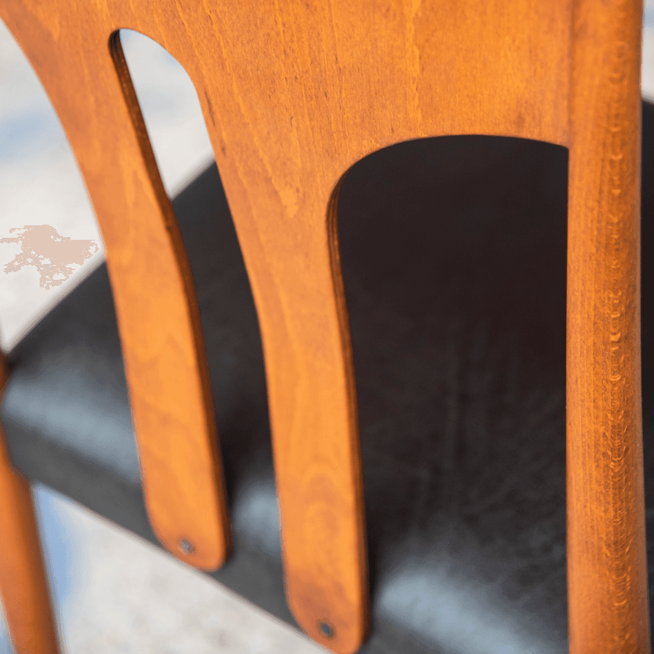 Däne mit Upcyclingleder - Werkstattfürschönes