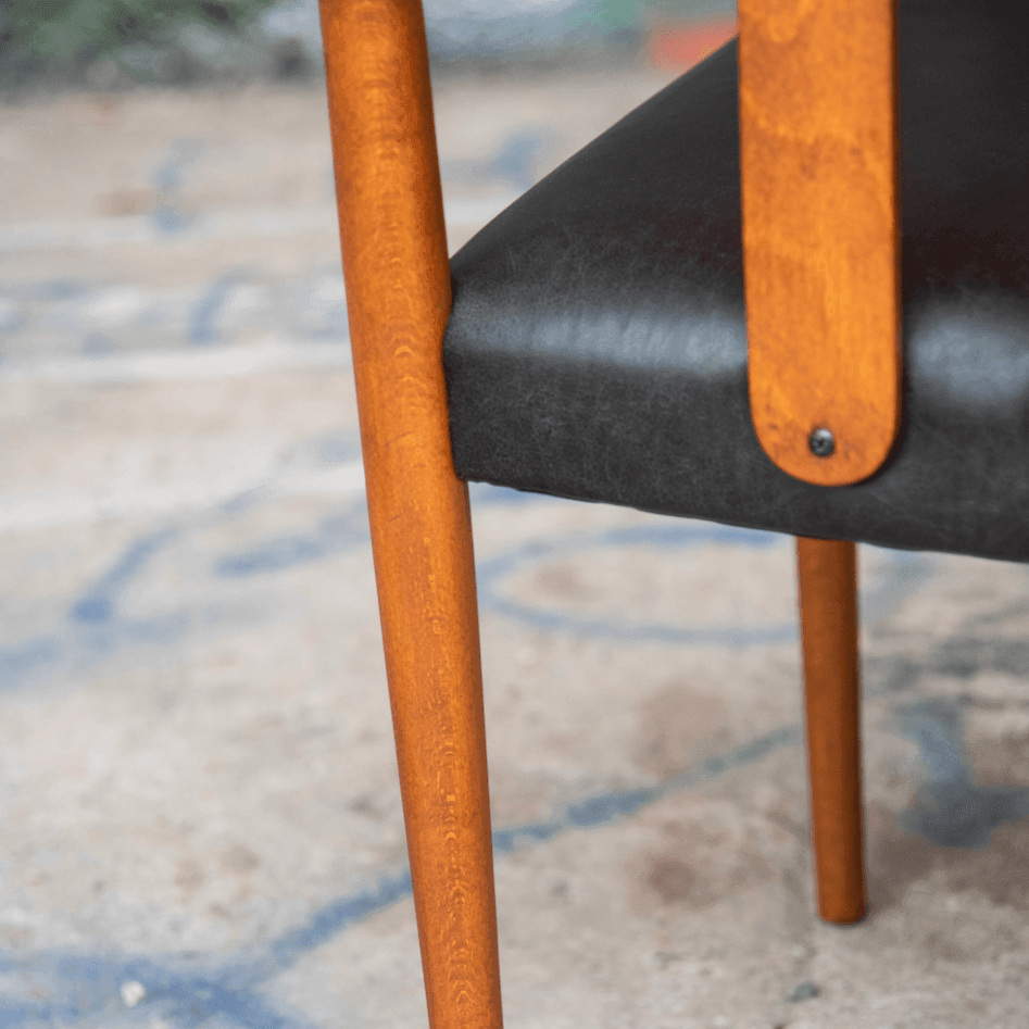 Däne mit Upcyclingleder - Werkstattfürschönes