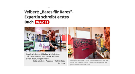 11/21 WAZ stellt mein Buch „Aufgemöbelt!“ vor