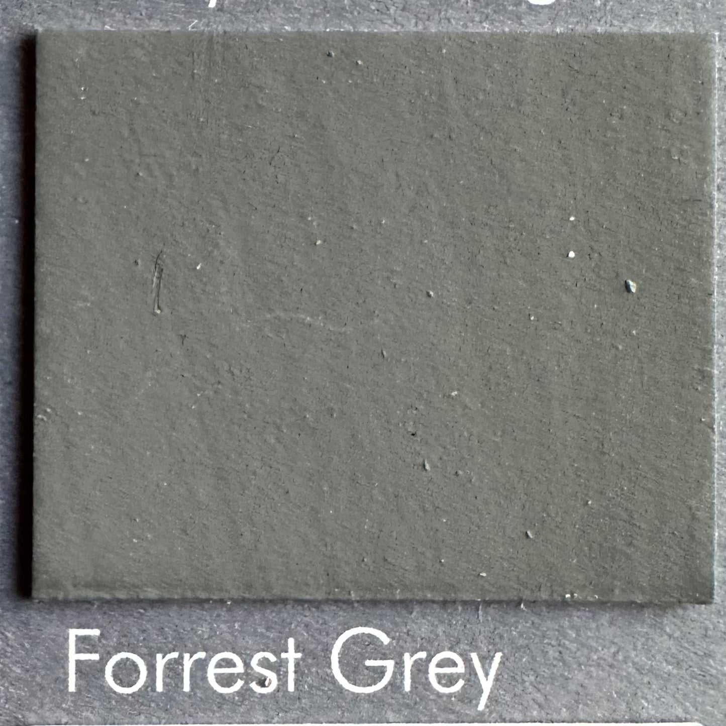 Forrest Grey – Abendliches Waldgrau