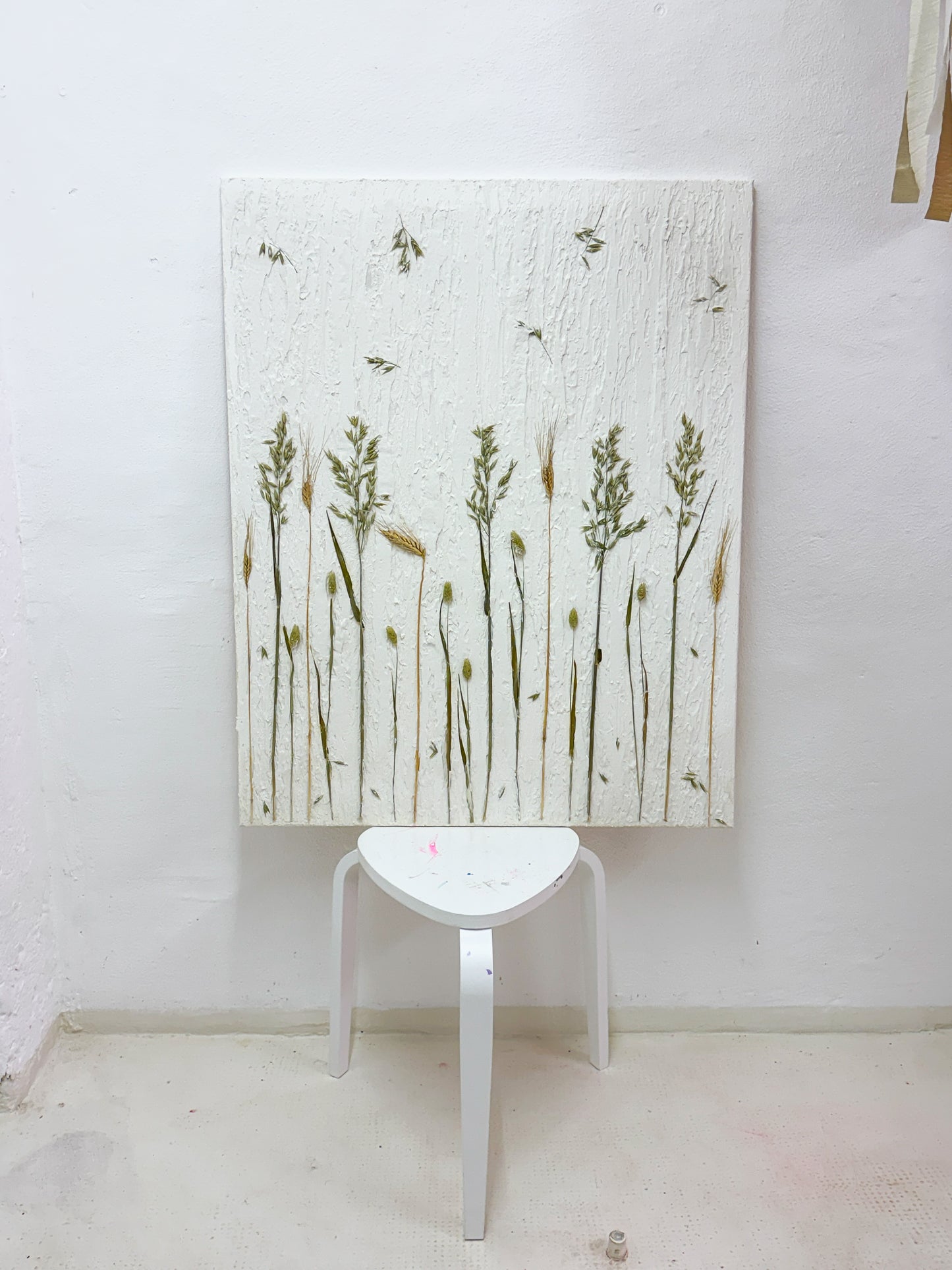 ARTY RELIEFBILDER am 25.02.2026 mit Vanessa