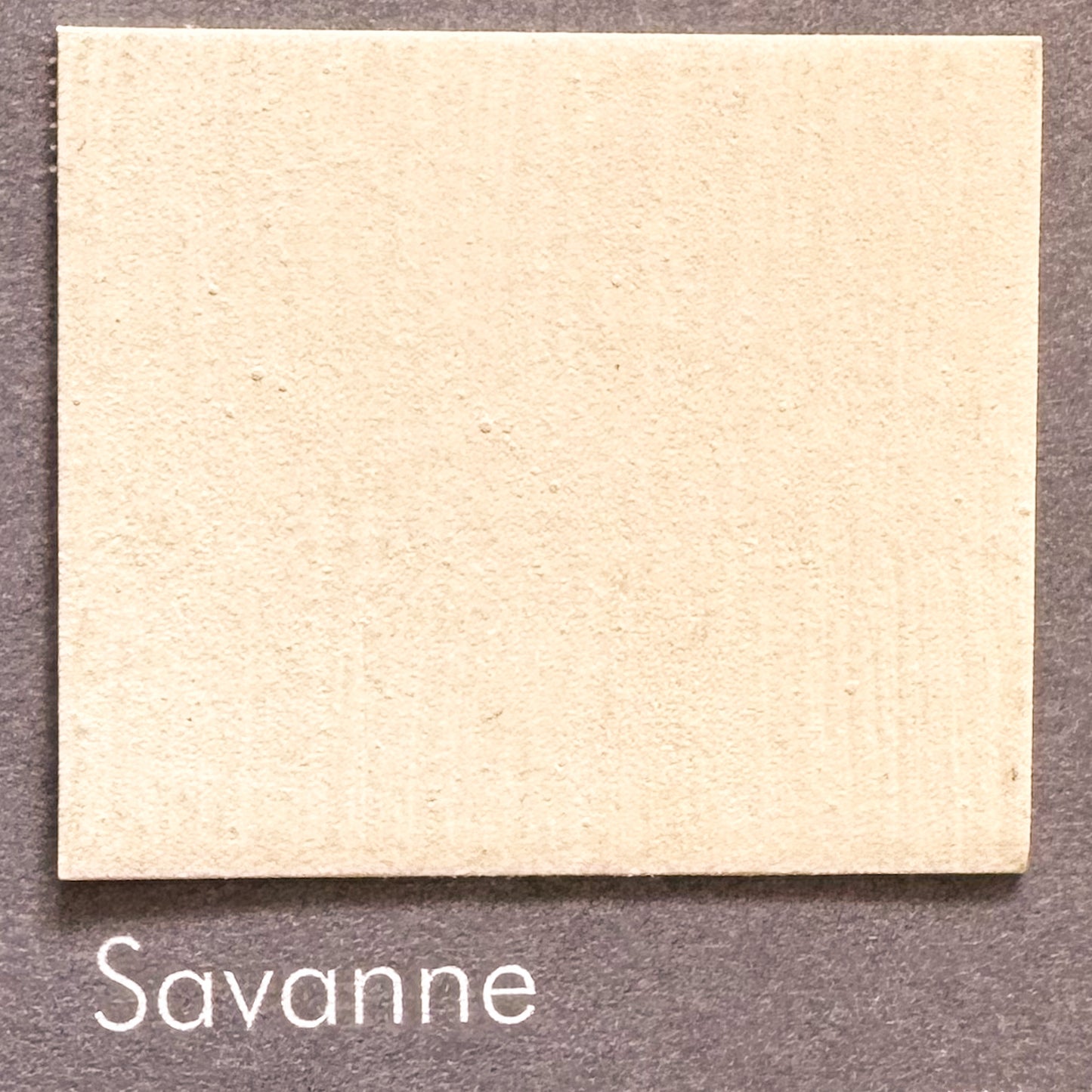 Savanne – Helles Savannenlicht