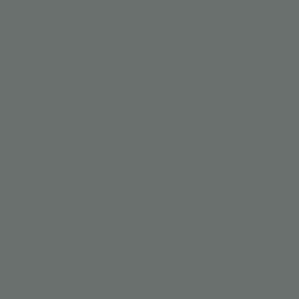 Bone-Grey 009 – Souveränes Dunkelgrau